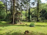 Beech Croft - 3 Bedroom Cottage, sleeps 6, near Perranporth, woodland setting