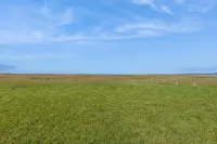 Sweet cabin with large deck, free WiFi, near 2 state parks - great surf Hotel a Westport