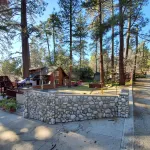 Cozy Cabin with Peek-a-Boo Views - Charming Retreat Amid Tall Pines