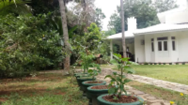 White House - Orange Hill Avenue Hotels in 