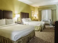 Holiday Inn Express & Suites WALLER - PRAIRIE VIEW by IHG Hotels in Waller