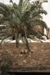 Asty Mykonos Hotel & Spa - World of One Hotel Group - Ocean View