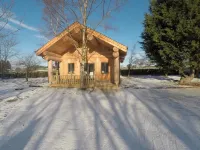 Braisty Woods - Knotty & Nice