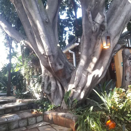 Breena BnB Guest House
