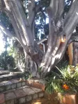 Breena BnB Guest House Hotels in Germiston