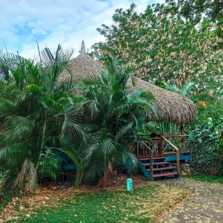 Mondi Lodge