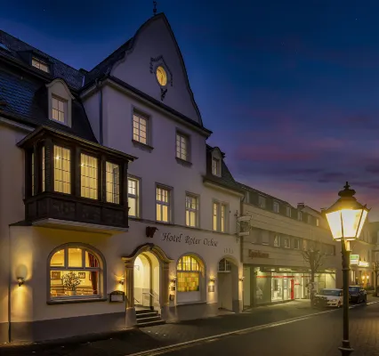 Akzent Hotel Roter Ochse Rhens Bei Koblenz - parking