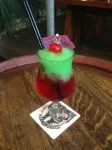 Global Backpackers Youth Hostel - bar