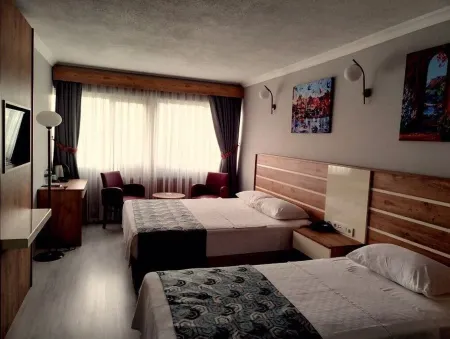 Hotel Anibal Отели рядом с достопримечательностью «Gebze Technical University»