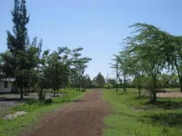 Nehemiah International Hotels in Ahero