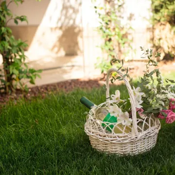 El Patio de Los Jazmines Boutique-House