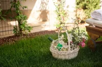 El Patio de Los Jazmines Boutique-House Hotels in Consuegra