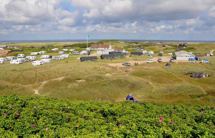 Dancamps Holmsland