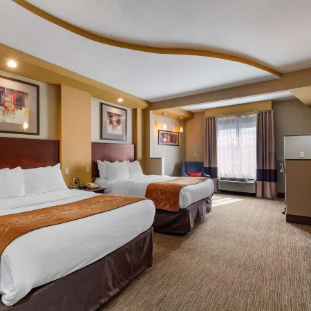 Comfort Suites Perrysburg - Toledo South