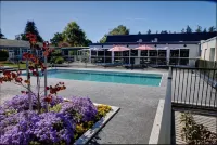 Hotel Ashburton - piscina