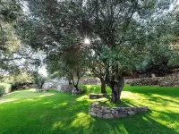 Domaine Valle Doniche Hotels in Olmeto