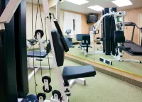 Holiday Inn Express & Suites CONCORD by IHG - Gym
