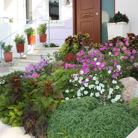 Veggie Garden Athens B&B