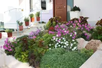 Veggie Garden Athens B&B