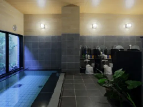 露櫻酒店日田站前店 日田市酒店