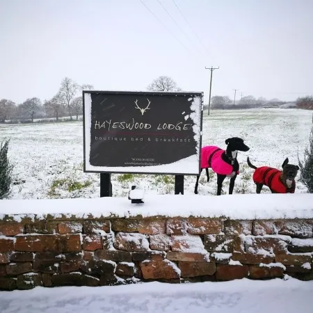 Hayeswood Lodge Luxury Accommodation