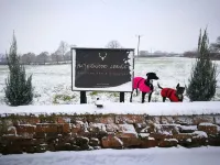 Hayeswood Lodge Luxury Accommodation Hôtels à : Stanley Common