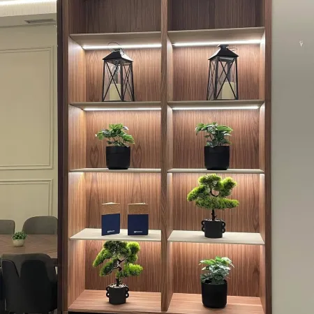 Move In Aparthotel