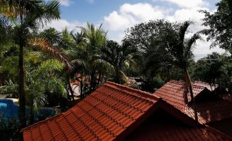 Hotel Ritmo Tropical - Pool and Breakfast