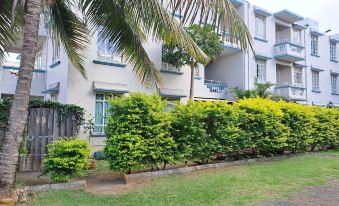 Allamanda Apartments - 100m Bain Boeuf Beach