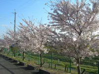 Hotel Hyper Noah (Adult Only) Hotels in Izumi