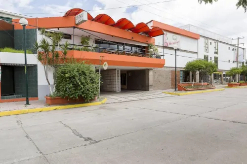 Hotel Flamingo Irapuato - piscina