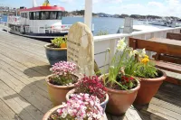 Hummeren Hotel - Ocean View