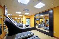 Homewood Suites by Hilton Tampa-Port Richey - Træningscentre