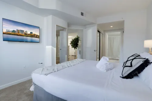 Bright Apartment Walk to Ballston Metro