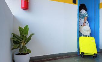 Gostops Goa, Panaji Plus