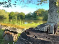 Le Domaine de la Vergnolle