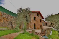 The Mira House - Pools