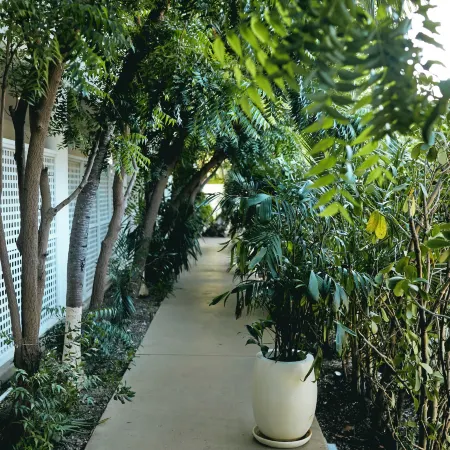 La Concha