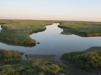 FeWo Seestern... at home on vacation Hotels in Busumer Deichhausen