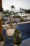 Sea view apartment 4pax with pool near the beach