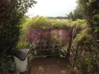 House with garden - 2 stelle