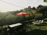 TOTAL RELAXATION IN THE GREEN OF UMBRIA, A FEW KM FROM ASSISI, GUBBIO, PERUGIA Hotel in zona Domus Ecclesiae