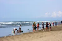 Creek and Ocean Estate - Spacious Living Space - Stay close to Nature