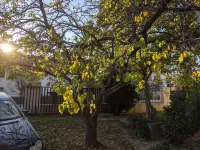 Apartment with New Amenities, Green Patio, BBQ, Parking & EV Charger in Maksimir Hotels in Maksimir