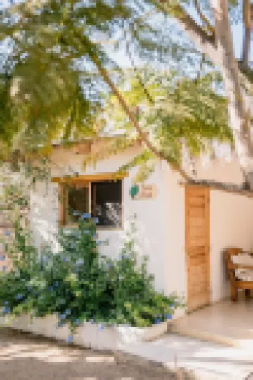 Villa Gardenia - Ocean Casa Arbol