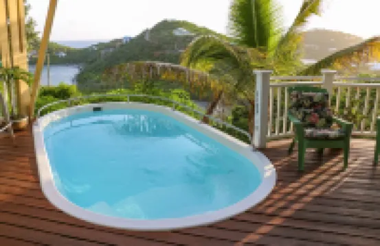 4 large bedrooms/4 full bathrooms. Pool/Beautiful Ocean views/hot tub. Cruz Bay!