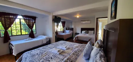 Hotel & Restaurant Fleur de LIS Отели в г. Консепсьон де Атако