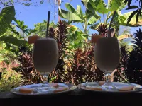 Valeska Drake - Bintang 2