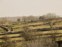 Broadway Barn