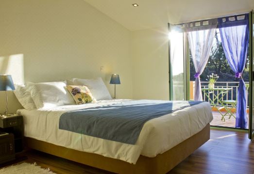 승마 체험 활동